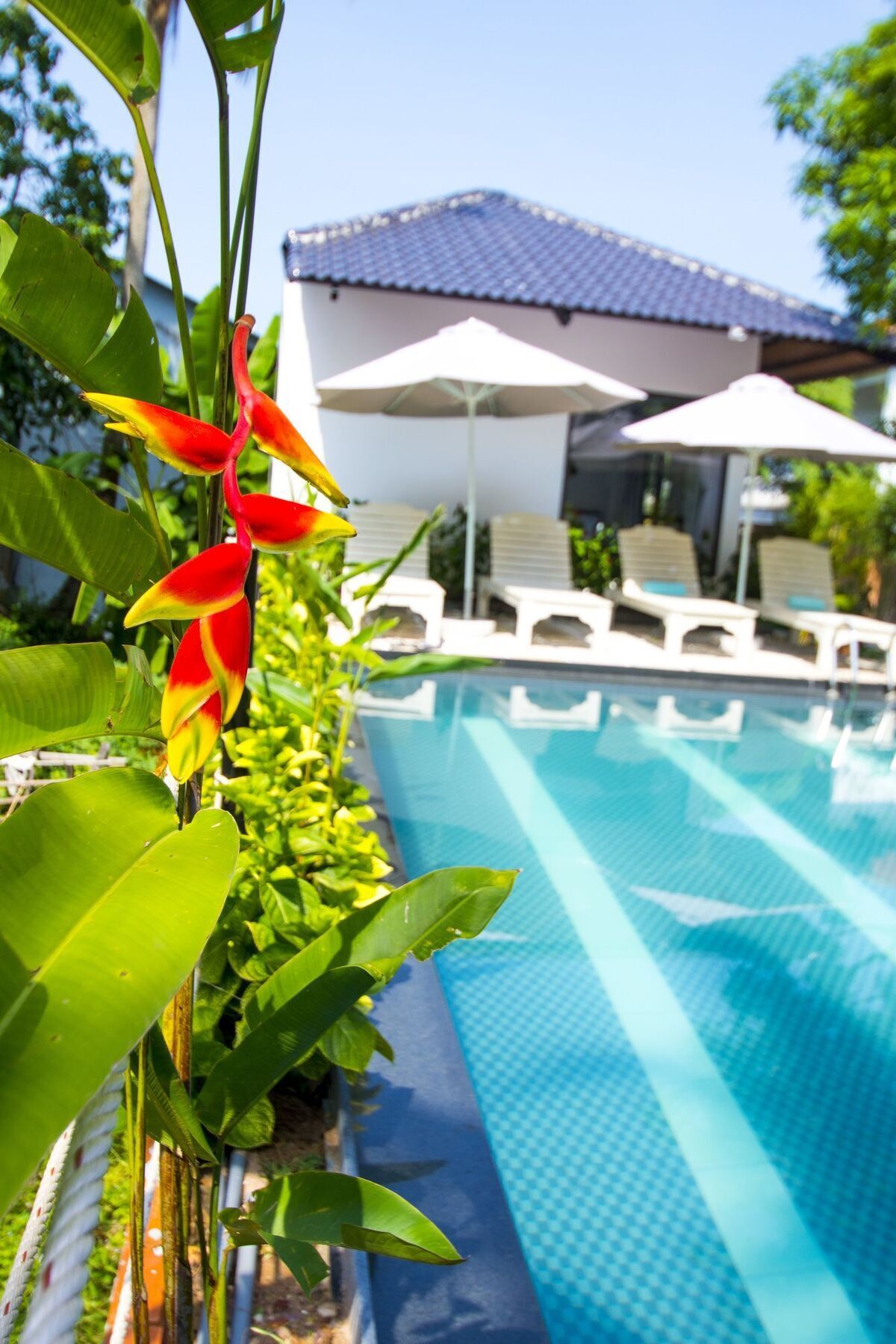 Shero Bungalow Phú Quốc Ngoại thất bức ảnh
